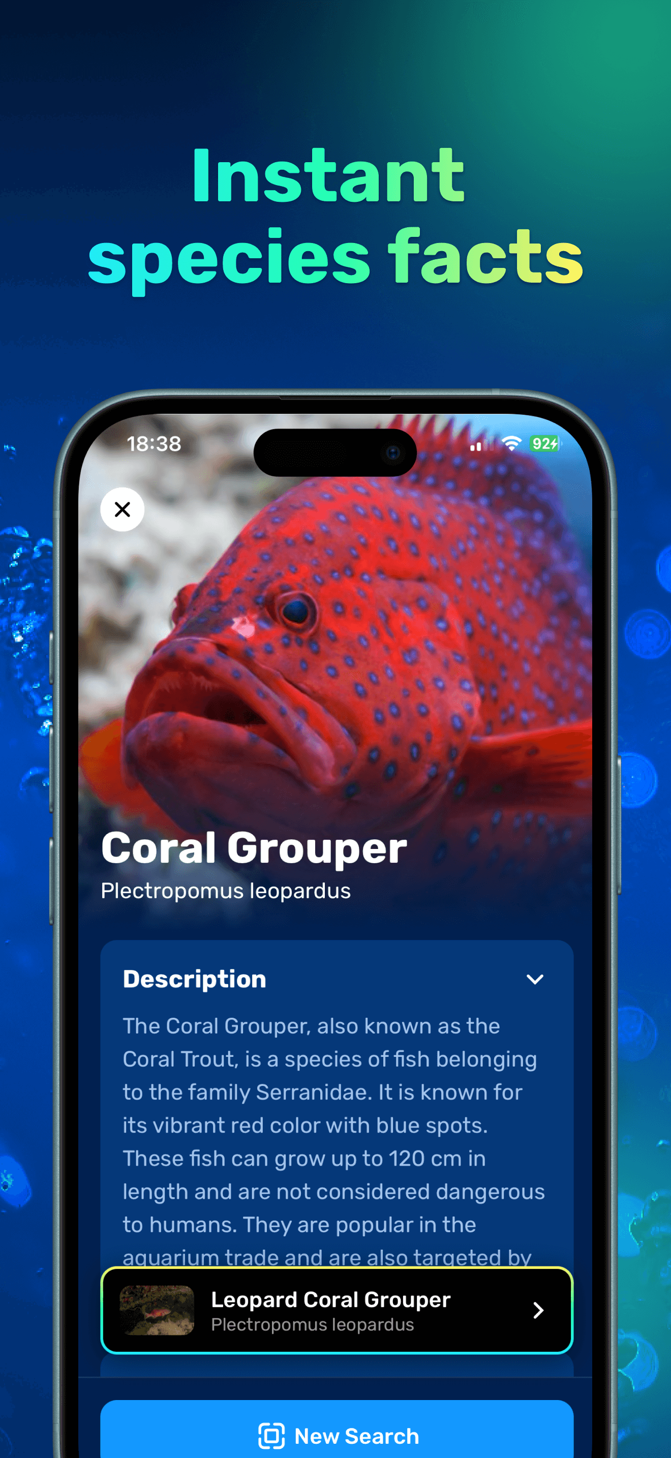 Seabook trait comparison results highlighting similar species