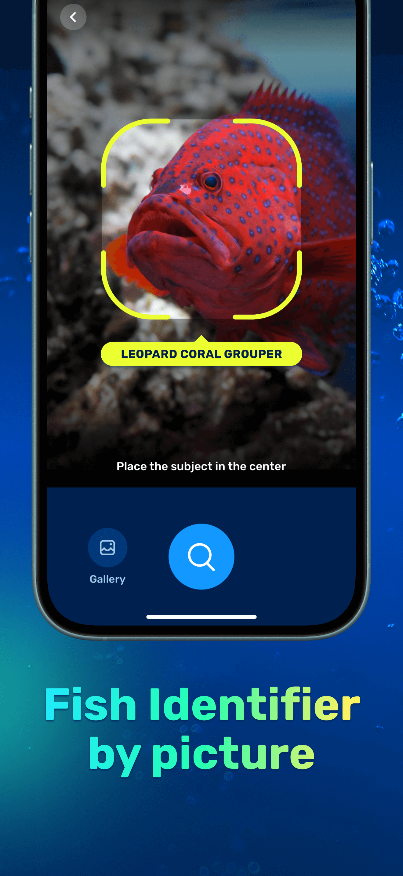 Seabook screen identifying a fish from a photo