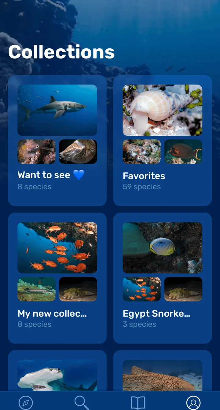 Seabook Collections: Want to see, Favorites and trip collections