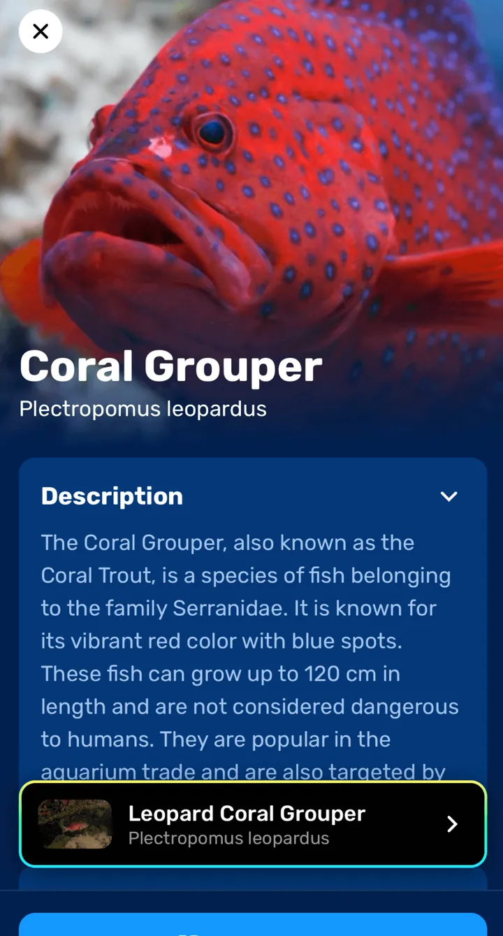 Seabook result screen: Coral Grouper, Plectropomus leopardus, with description
