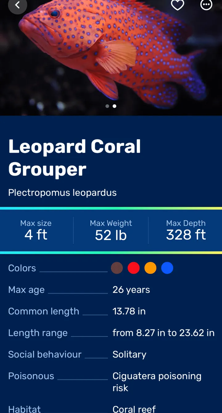 Seabook species details with max size, weight, depth, colors and habitat